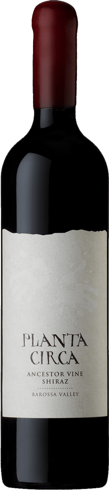 Planta Circa Shiraz 750ml